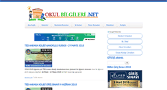 Desktop Screenshot of okulbilgileri.net