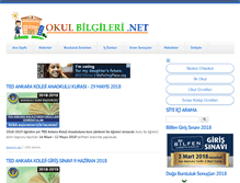 Tablet Screenshot of okulbilgileri.net